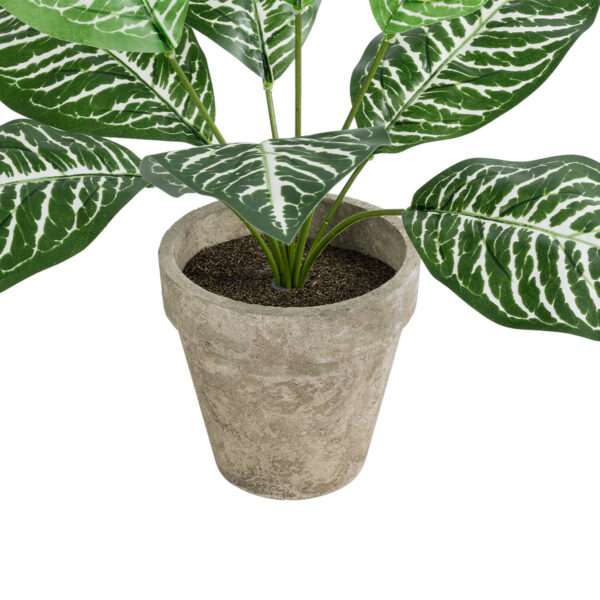 GloboStar® Artificial Garden ZEBRA POTTED PLANT 20898 Διακοσμητικό Φυτό Ζέμπρα Φ40 x Υ33cm - Image 3