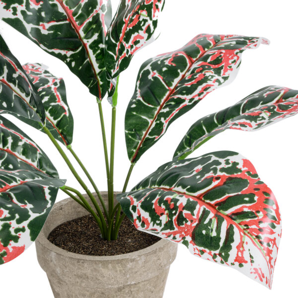 GloboStar® Artificial Garden RED AGLAONEMA POTTED PLANT 20901 Διακοσμητικό Φυτό Κόκκινο Αγλαόνημα Φ40 x Υ33cm - Image 2