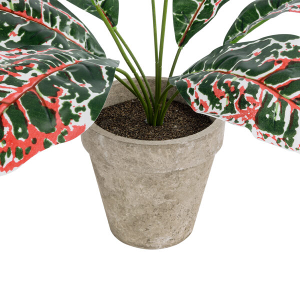 GloboStar® Artificial Garden RED AGLAONEMA POTTED PLANT 20901 Διακοσμητικό Φυτό Κόκκινο Αγλαόνημα Φ40 x Υ33cm - Image 3