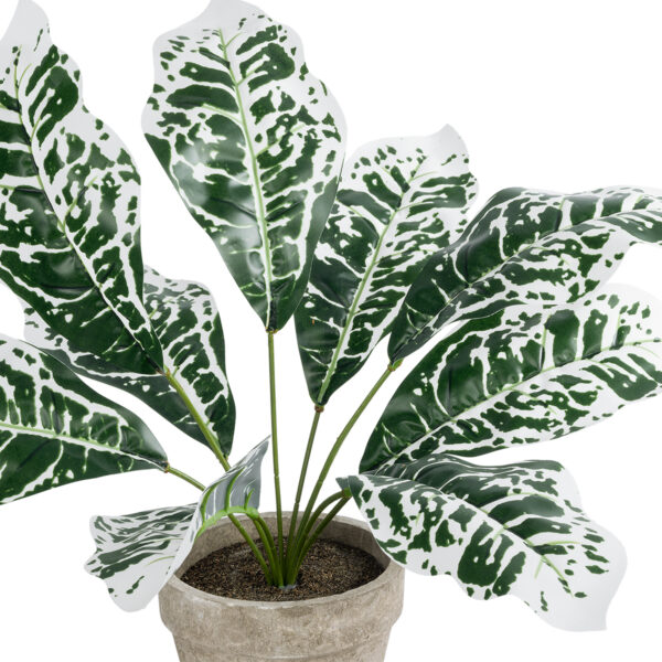 GloboStar® Artificial Garden WHITE AGLAONEMA POTTED PLANT 20903 Διακοσμητικό Φυτό Λευκό Αγλαόνημα Φ40 x Υ33cm - Image 2