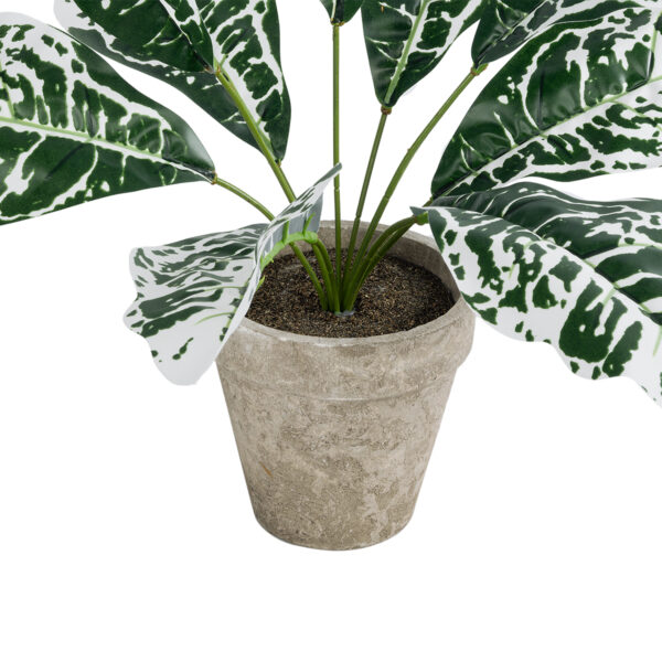 GloboStar® Artificial Garden WHITE AGLAONEMA POTTED PLANT 20903 Διακοσμητικό Φυτό Λευκό Αγλαόνημα Φ40 x Υ33cm - Image 3