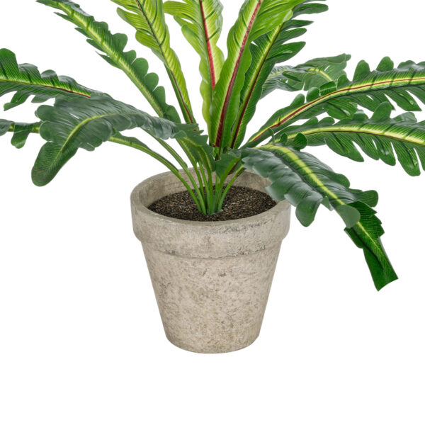 GloboStar® Artificial Garden  ASPLENIUM POTTED PLANT 20904 Διακοσμητικό Φυτό Aslenium Φ40 x Υ33cm - Image 3