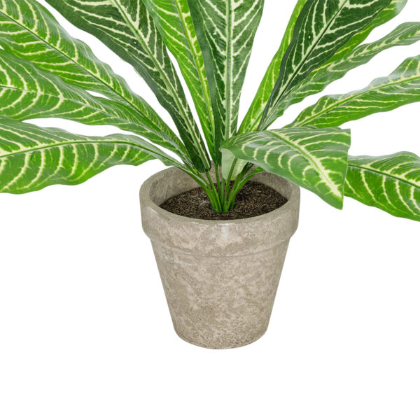 GloboStar® Artificial Garden  ZEBRA POTTED PLANT 20906 Διακοσμητικό Φυτό Ζέμπρα Φ40 x Υ33cm - Image 3