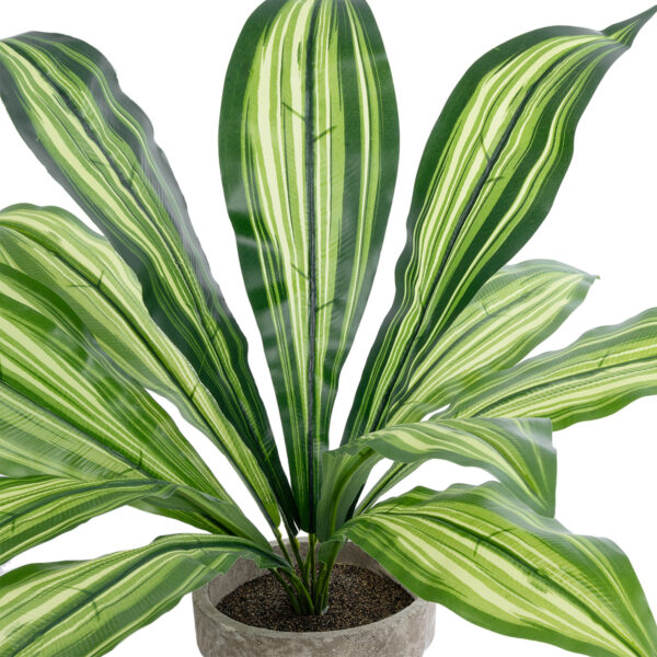 GloboStar® Artificial Garden  DRACAENA POTTED PLANT 20907 Διακοσμητικό Φυτό Δράκενα Φ40 x Υ33cm - Image 2