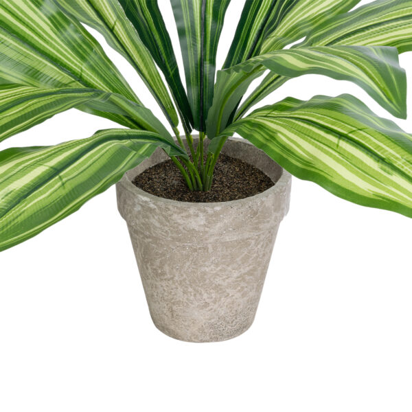 GloboStar® Artificial Garden  DRACAENA POTTED PLANT 20907 Διακοσμητικό Φυτό Δράκενα Φ40 x Υ33cm - Image 3