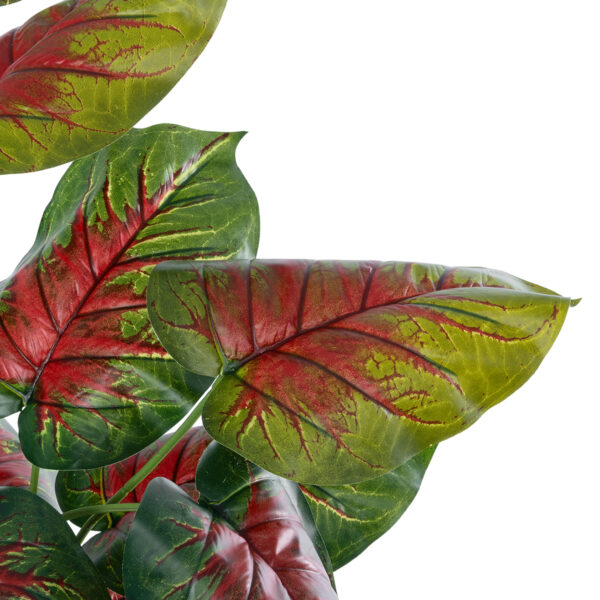 GloboStar® Artificial Garden CALADIUM MIX 20911 Διακοσμητικό Φυτό Καλάντιουμ Υ75cm - Image 2