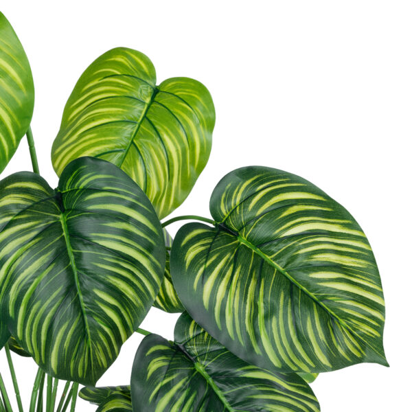 GloboStar® Artificial Garden CALATHEA PLANT 20912 Διακοσμητικό Φυτό Καλαθέα Φ55 x Υ75cm - Image 2