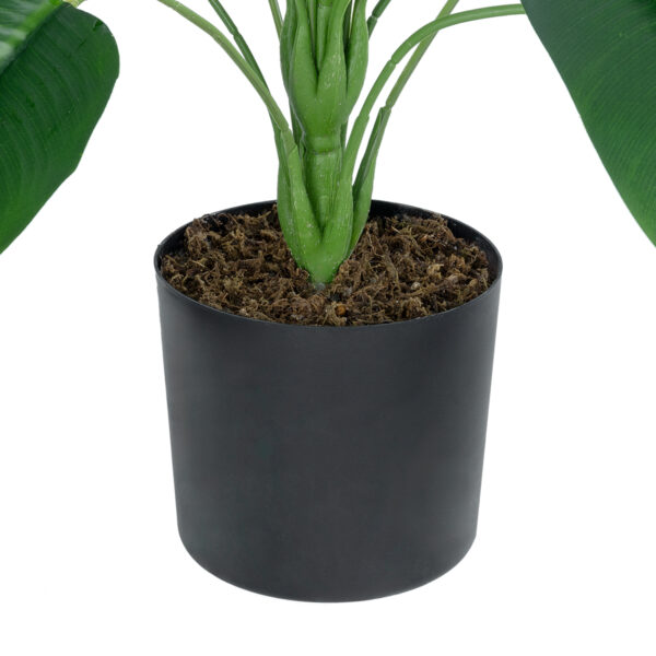 GloboStar® Artificial Garden YOUNG BANANA PLANT 20916 - Διακοσμητικό Φυτό Νεαρή Μπανανιά Φ82 x Υ80cm - Image 3