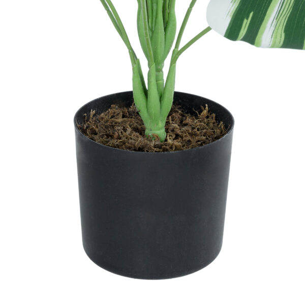 GloboStar® Artificial Garden BANANA ZEBRA PLANT 20918 - Διακοσμητικό Φυτό Μπανανιά Ζέβρα Φ83 x Υ80cm - Image 3