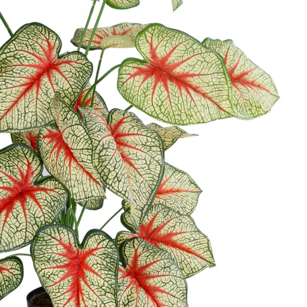 GloboStar® Artificial Garden CALADIUM PLANT 20921 Διακοσμητικό Φυτό Καλάντιουμ Φ75 x Υ80cm - Image 2