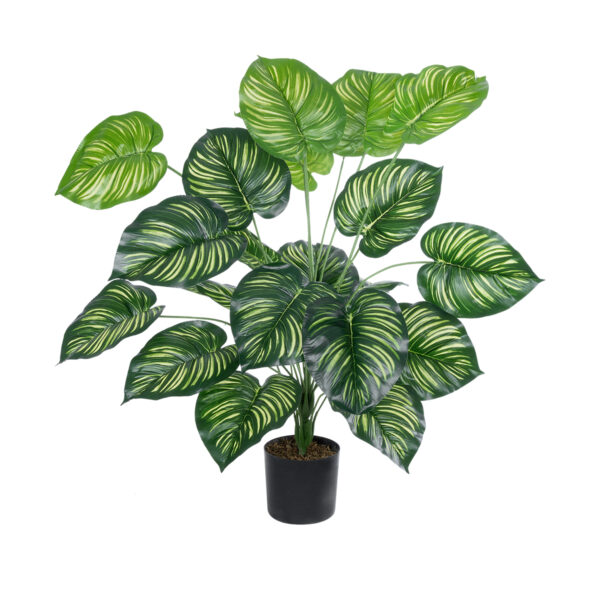 GloboStar® Artificial Garden CALATHEA PLANT 20922 Διακοσμητικό Φυτό Καλαθέα Φ70 x Υ80cm