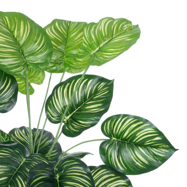 GloboStar® Artificial Garden CALATHEA PLANT 20922 Διακοσμητικό Φυτό Καλαθέα Φ70 x Υ80cm - Image 2