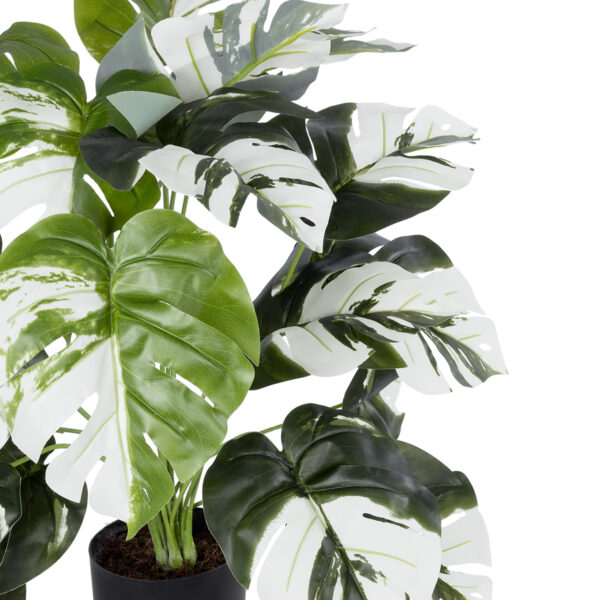 GloboStar® Artificial Garden ALBINO MONSTERA PLANT 20925 - Διακοσμητικό Φυτό Λευκή Μονστέρα Φ70 x Υ75cm - Image 2