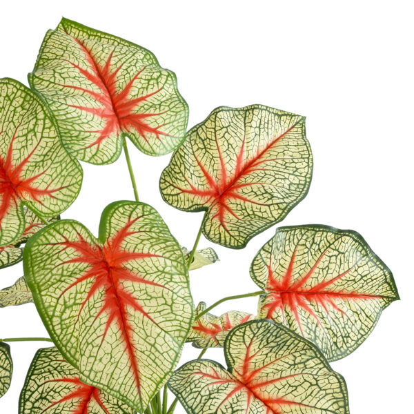 GloboStar® Artificial Garden CALADIUM PLANT 20932 Διακοσμητικό Φυτό Καλάντιουμ Φ58 x Υ55cm - Image 2