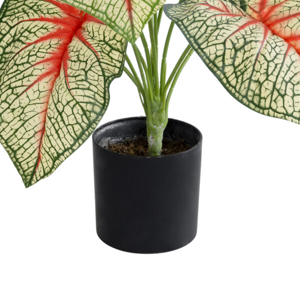 GloboStar® Artificial Garden CALADIUM PLANT 20932 Διακοσμητικό Φυτό Καλάντιουμ Φ58 x Υ55cm - Image 3