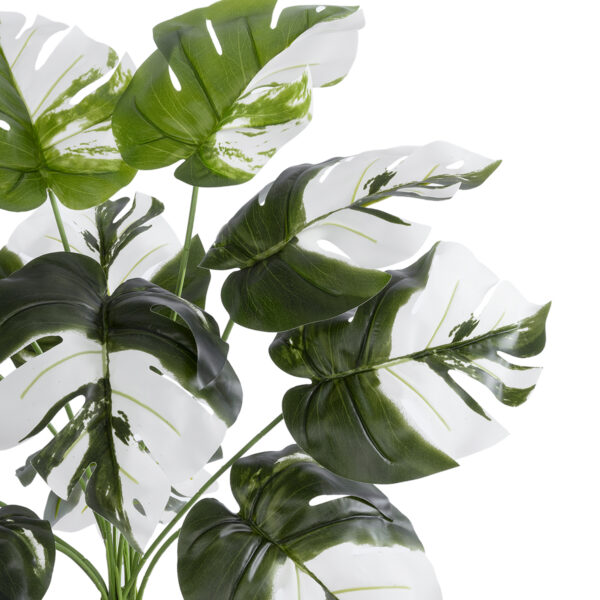 GloboStar® Artificial Garden ALBINO MONSTERA PLANT 20935 - Διακοσμητικό Φυτό Λευκή Μονστέρα Φ60 x Υ55cm - Image 2