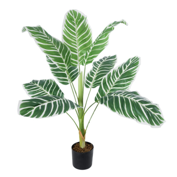 GloboStar® Artificial Garden WHITE ZEBRA PLANT 20943 Τεχνητό Διακοσμητικό Φυτό Λευκή Ζέβρα Φ90 x Υ90cm