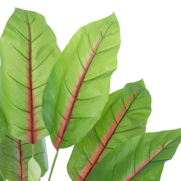 GloboStar® Artificial Garden BLOOD BANANA PLANT 20944 - Διακοσμητικό Φυτό Αιματόφυλλη Μπανανιά Φ70 x Υ90cm - Image 2