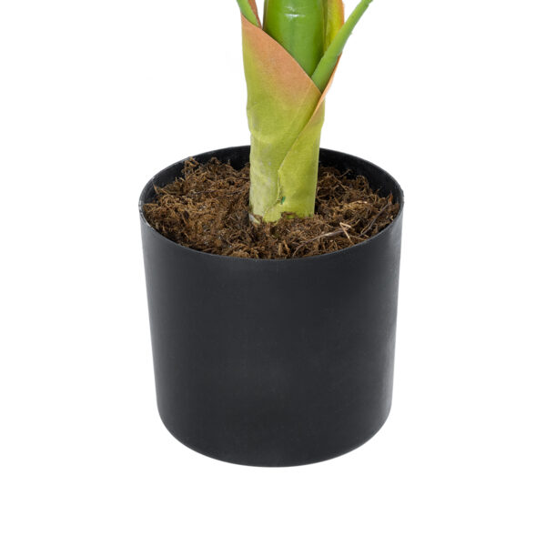 GloboStar® Artificial Garden BLOOD BANANA PLANT 20944 - Διακοσμητικό Φυτό Αιματόφυλλη Μπανανιά Φ70 x Υ90cm - Image 3