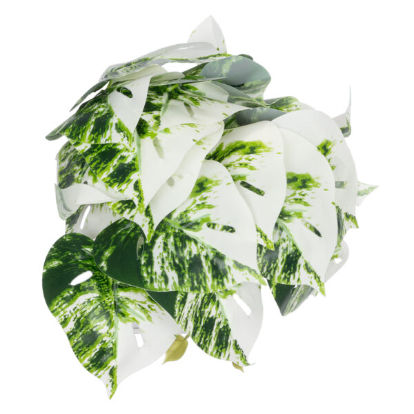 GloboStar® Artificial Garden ALBINO MONSTERA PLANT 20946 - Διακοσμητικό Φυτό Μονστέρα Φ23 x Υ16cm - Image 3