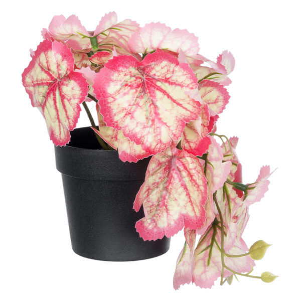 GloboStar® Artificial Garden RED BEGONIA PLANT 20948 Διακοσμητικό Φυτό Κόκκινη Μπιγόνια Φ23 x Υ16cm