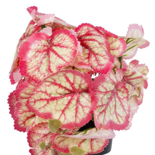 GloboStar® Artificial Garden RED BEGONIA PLANT 20948 Διακοσμητικό Φυτό Κόκκινη Μπιγόνια Φ23 x Υ16cm - Image 2