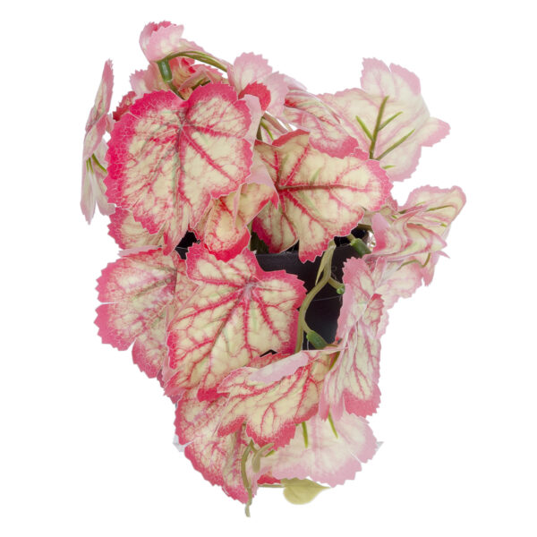 GloboStar® Artificial Garden RED BEGONIA PLANT 20948 Διακοσμητικό Φυτό Κόκκινη Μπιγόνια Φ23 x Υ16cm - Image 3