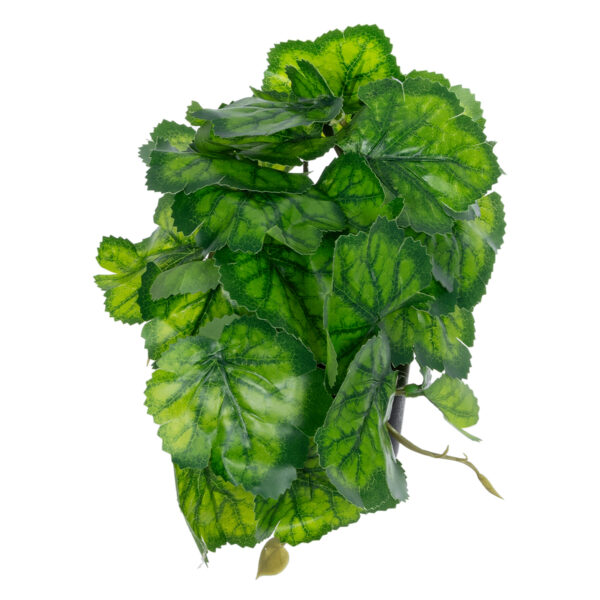 GloboStar® Artificial Garden GREEN BEGONIA PLANT 20949 Διακοσμητικό Φυτό Πράσινη Μπιγόνια Φ23 x Υ16cm - Image 3