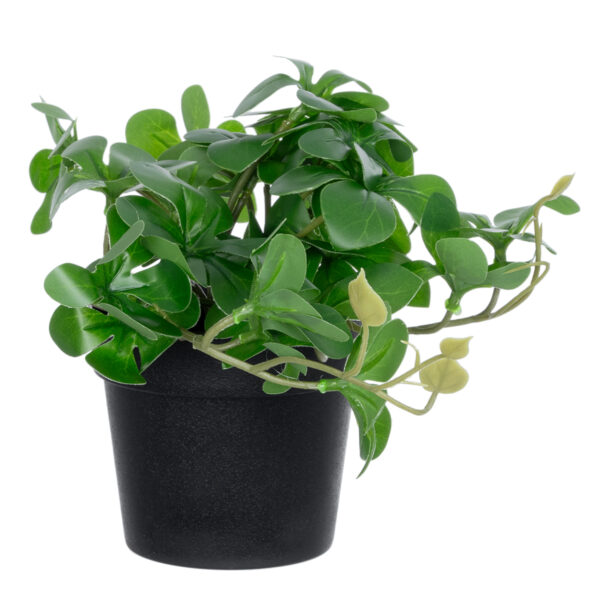 GloboStar® Artificial Garden SCHEFFLERA PLANT 20954 Διακοσμητικό Φυτό Σεφλέρα Φ18 x Υ17cm - Image 3