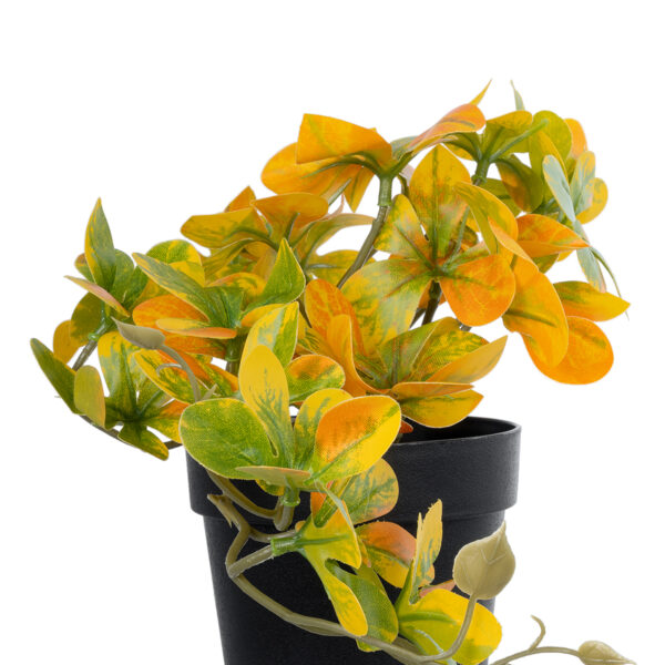 GloboStar® Artificial Garden SCHEFFLERA MIX PLANT 20955 Διακοσμητικό Φυτό Σεφλέρα Φ20 x Υ18cm - Image 2