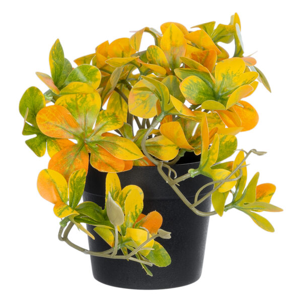 GloboStar® Artificial Garden SCHEFFLERA MIX PLANT 20955 Διακοσμητικό Φυτό Σεφλέρα Φ20 x Υ18cm - Image 3