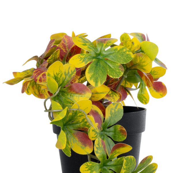 GloboStar® Artificial Garden SCHEFFLERA MIX PLANT 20956 Διακοσμητικό Φυτό Σεφλέρα Φ20 x Υ18cm - Image 2