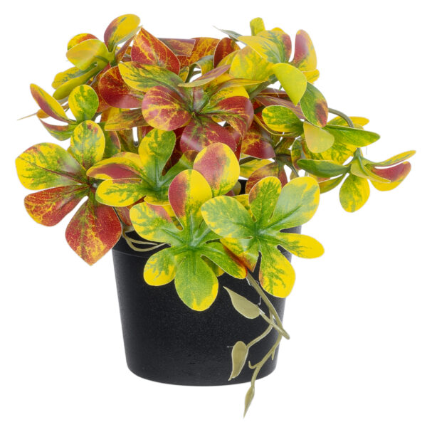 GloboStar® Artificial Garden SCHEFFLERA MIX PLANT 20956 Διακοσμητικό Φυτό Σεφλέρα Φ20 x Υ18cm - Image 3