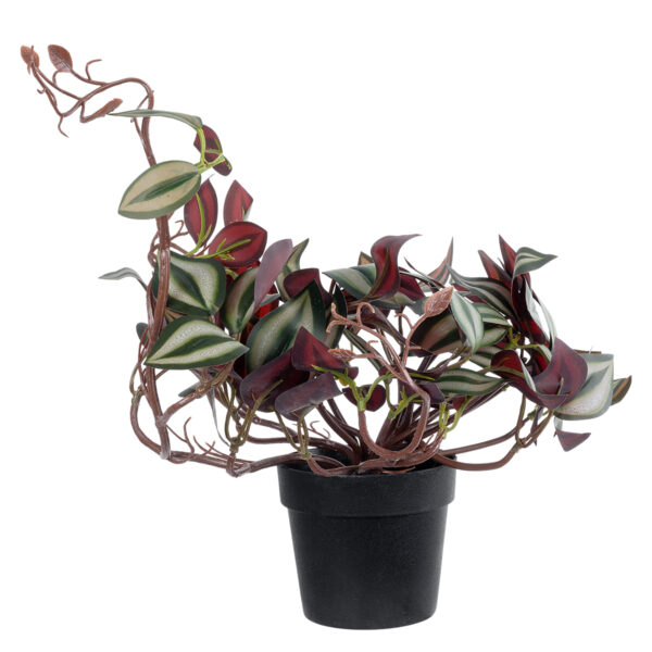 GloboStar® Artificial Garden ZEBRINA PLANT 20961 Διακοσμητικό Φυτό Ζεμπρίνα Φ45 x Υ22cm - Image 3