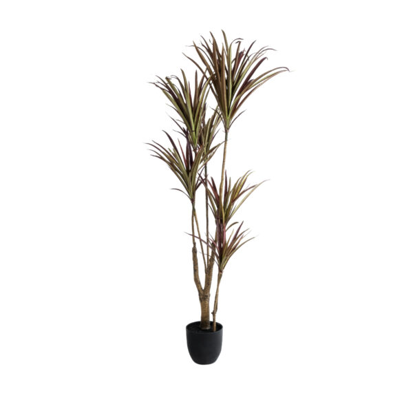 GloboStar® Artificial Garden DRAGON BLOOD TREE 20970 - Τεχνητό Διακοσμητικό Φυτό Δράκαινα Φ60 x Υ140cm