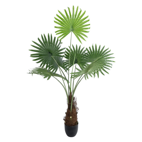 GloboStar® Artificial Garden SERENOA PALM PLANT 20971 Διακοσμητικό Φυτό Φοίνικα Σερενόα Φ60 x Υ140cm