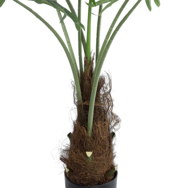 GloboStar® Artificial Garden SERENOA PALM PLANT 20971 Διακοσμητικό Φυτό Φοίνικα Σερενόα Φ60 x Υ140cm - Image 2