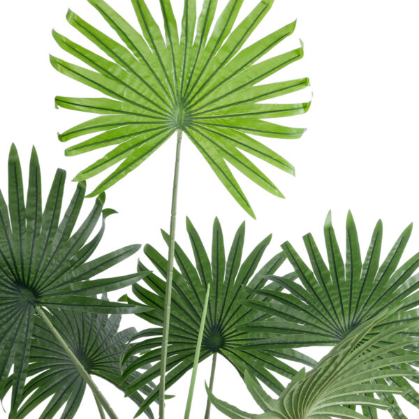 GloboStar® Artificial Garden SERENOA PALM PLANT 20971 Διακοσμητικό Φυτό Φοίνικα Σερενόα Φ60 x Υ140cm - Image 3