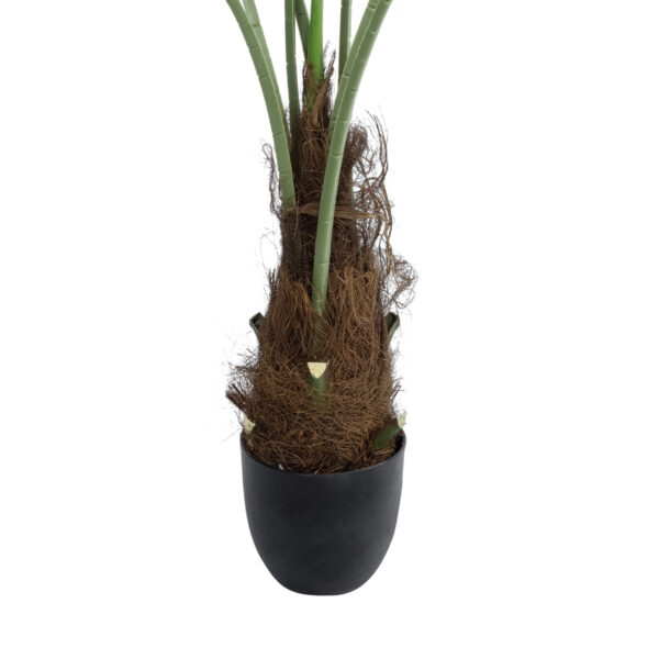 GloboStar® Artificial Garden SERENOA PALM PLANT 20971 Διακοσμητικό Φυτό Φοίνικα Σερενόα Φ60 x Υ140cm - Image 4