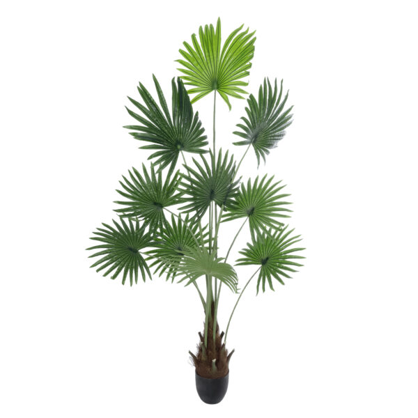 GloboStar® Artificial Garden SERENOA PALM PLANT 20972 Διακοσμητικό Φυτό Φοίνικα Σερενόα Φ103 x Υ180cm