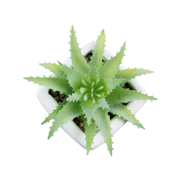 GloboStar® Artificial Garden SUCCULENT ALOE LOTUS PLANT 20976 Διακοσμητικό Φυτό Παχύφυτο Λωτός Αλόης Φ8 x Υ8cm - Image 2