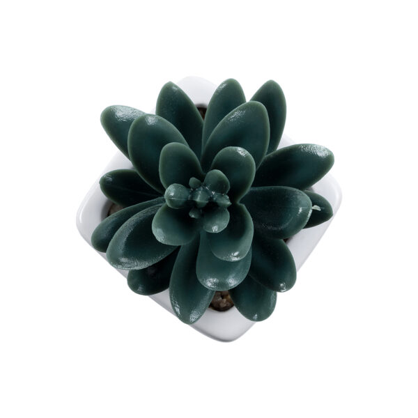 GloboStar® Artificial Garden SUCCULENT SEDEVERIA PLANT 20977 Διακοσμητικό Φυτό Παχύφυτο Σεντεβέρια Φ6 x Υ9cm - Image 2