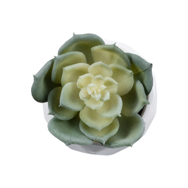 GloboStar® Artificial Garden SUCCULENT ECHEVERIA 20980 Διακοσμητικό Φυτό Παχύφυτο Εχεβέρια Υ7.5cm - Image 2