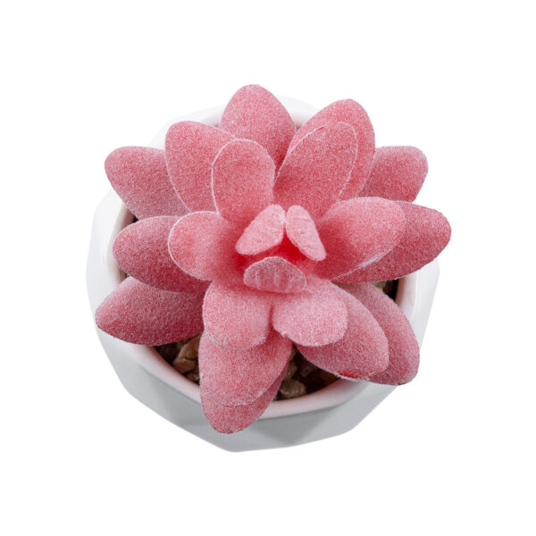 GloboStar® Artificial Garden SUCCULENT SEDEVERIA 20981 Διακοσμητικό Φυτό Παχύφυτο Σεντεβέρια Υ8cm - Image 2