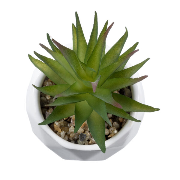 GloboStar® Artificial Garden SUCCULENT ALOE 20982 Διακοσμητικό Φυτό Παχύφυτο Αλόη Υ11cm - Image 2