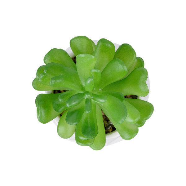 GloboStar® Artificial Garden SUCCULENT CRASSULA POTTED PLANT 20986 Διακοσμητικό Φυτό Κρασούλα Φ6 x Υ10cm - Image 2