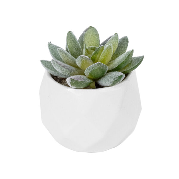 GloboStar® Artificial Garden SUCCULENT SEDEVERIA POTTED PLANT 20987 Διακοσμητικό Φυτό Σεδεβέρια Φ7 x Υ7,5cm