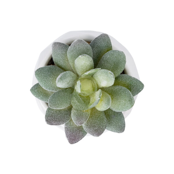 GloboStar® Artificial Garden SUCCULENT SEDEVERIA POTTED PLANT 20987 Διακοσμητικό Φυτό Σεδεβέρια Φ7 x Υ7,5cm - Image 2