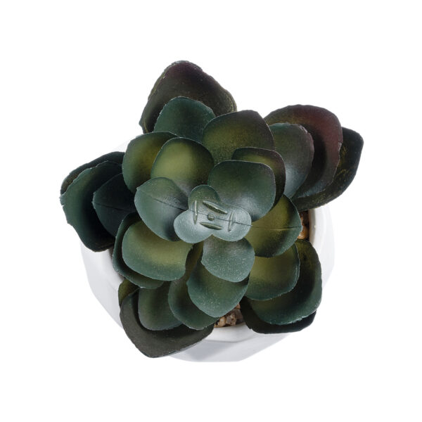 GloboStar® Artificial Garden SUCCULENT ECHEVERIA 20990 Διακοσμητικό Φυτό Παχύφυτο Εχεβέρια Υ8.5cm - Image 2