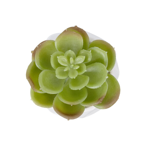 GloboStar® Artificial Garden SUCCULENT ECHEVERIA POTTED PLANT 20991 Διακοσμητικό Φυτό Εχεβέρια Φ6 x Υ8,5cm - Image 2